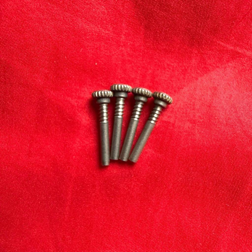 CASIO Fisherman Screws Strap Fixing Screws DW-8600 G-SHOCK DW-8600 4-Piece Set