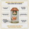 Nexra Masala Bliss Tea, Whole Leaf Herbal Blend with 11 Spices, Premium Tin Box, 100g (50gm, Glowing Skin Tea)