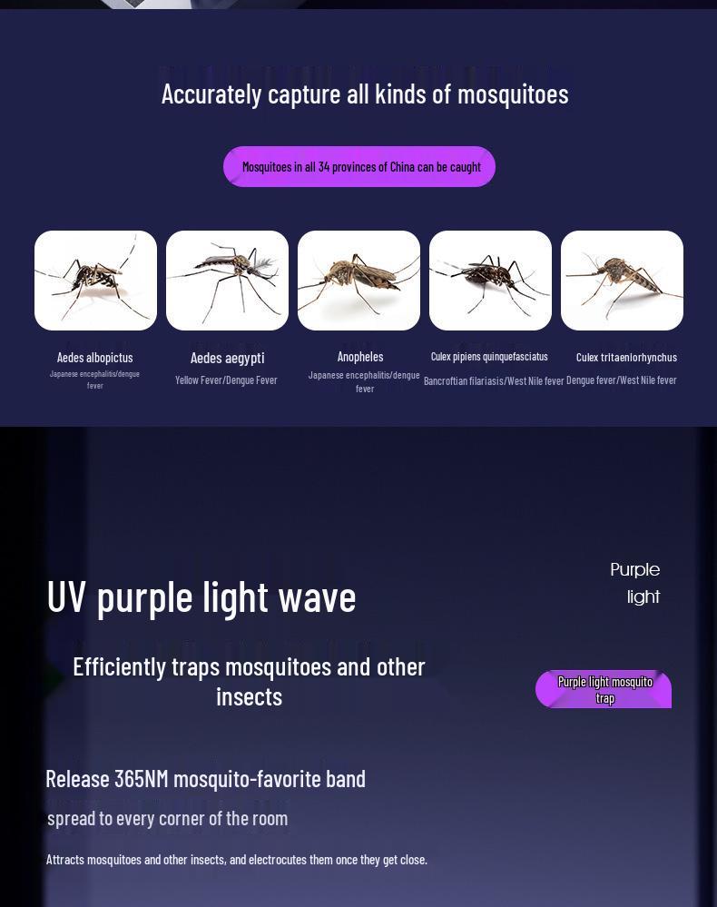 Silent, Safe, Radiation-Free Mosquito Killer Lamp: Ideal for Mothers & Babies, Efficient All-Night Protection for Home & Camping