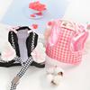Original Winged Chest Harness & Leash Set for Small Dogs and Cats