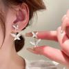 Double Big Butterfly Two In One Drop Earring for Women New Brincos Simple Everyday Gift Zircon