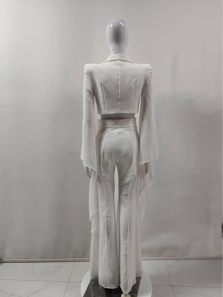 Women's Sheer Wide-Leg Blazer Set