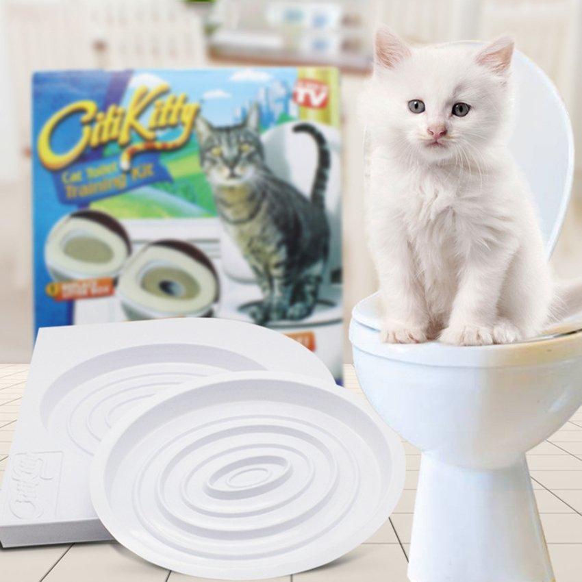 kitty potty trainer