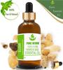Pure Herbs Elemi 100% Pure & Natural Canarium Luzonicum Essential Oil UKZA 378