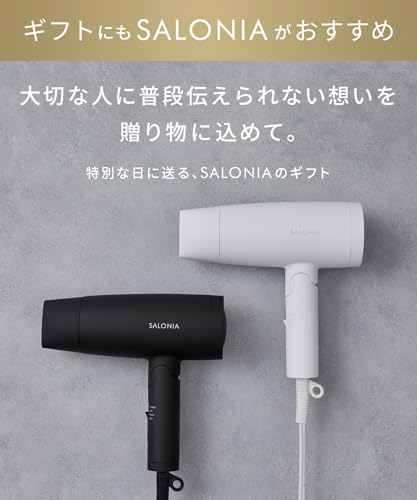 SALONIA Speedy Ion Hair Dryer, High Airflow, Fast Drying, Lightweight, Negative Ion Hair Dryer, SL-013WH, White