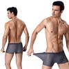 Modal Men's Thin Panties Summer Mesh Breathable Transparent Underpants Soft Ice Silk U-convex Boxers Casual Boyshorts