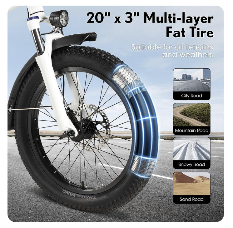 PHILODO Bici da carico elettrica da trasporto 750W motore 48V 17.5Ah doppia batteria pneumatici 20x3 pollici freni a disco idraulici anteriori e posteriori