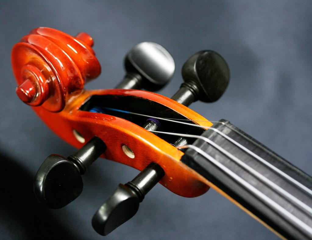 STENTOR Violin Set Product Handled by a Japanese SV-320 4/4 [Reliable Company]