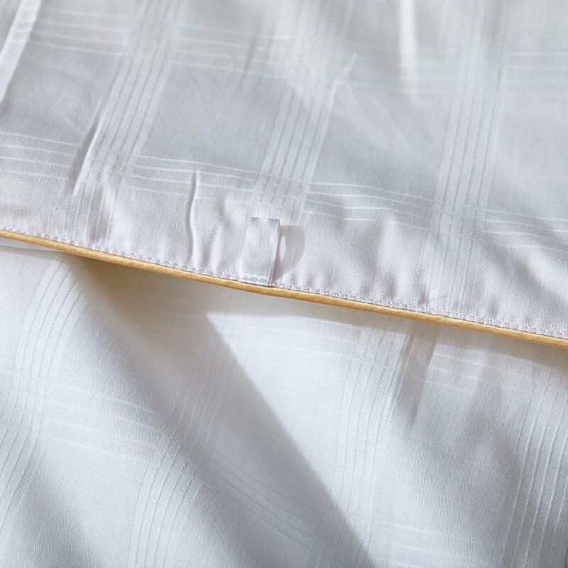 Yilian YL-Z606 Natural Tussah Silk Quilt