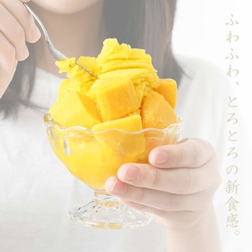 Yamazen Electric Shaved Ice Maker Fluffy Mille Snow Shaved Ice Maker Arrangement with Recipe Book and 2 Ice Cups White YSIA-F25(W) #E