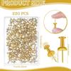 220 Count Gold Push P, Standard Plastic Head Steel Point Gold Thumb Tacks Decorative Push P for Cork Board Wall Hanging