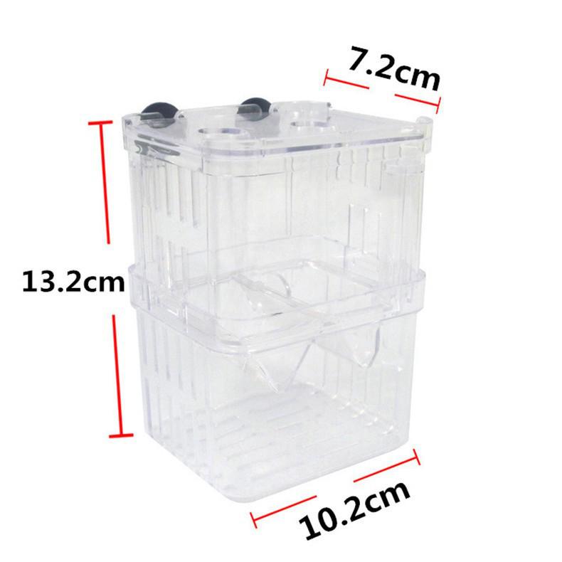 Acrylic Fish Breeding & Isolation Box for Guppies