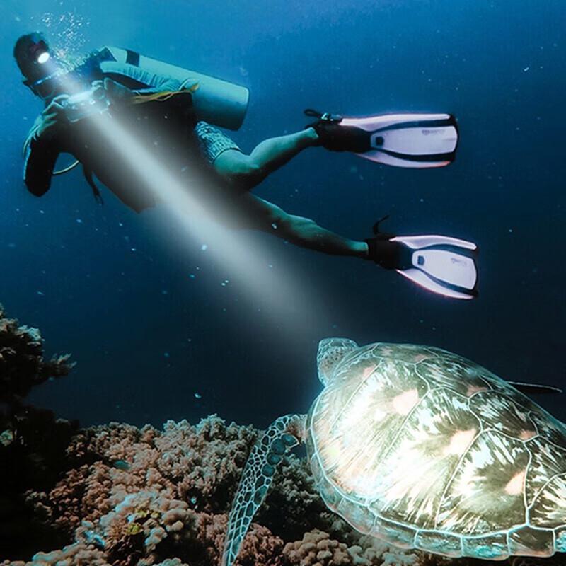 Wide Awake Dual-Light Diving Headlamp