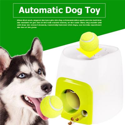 dog ate tennis ball fuzz