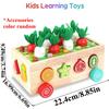 Montessori Wooden Toys Developmental Shape Sorting & Matching Puzzle Carrots Harvest Game Birthday Gifts for Toddlers Babies Boy