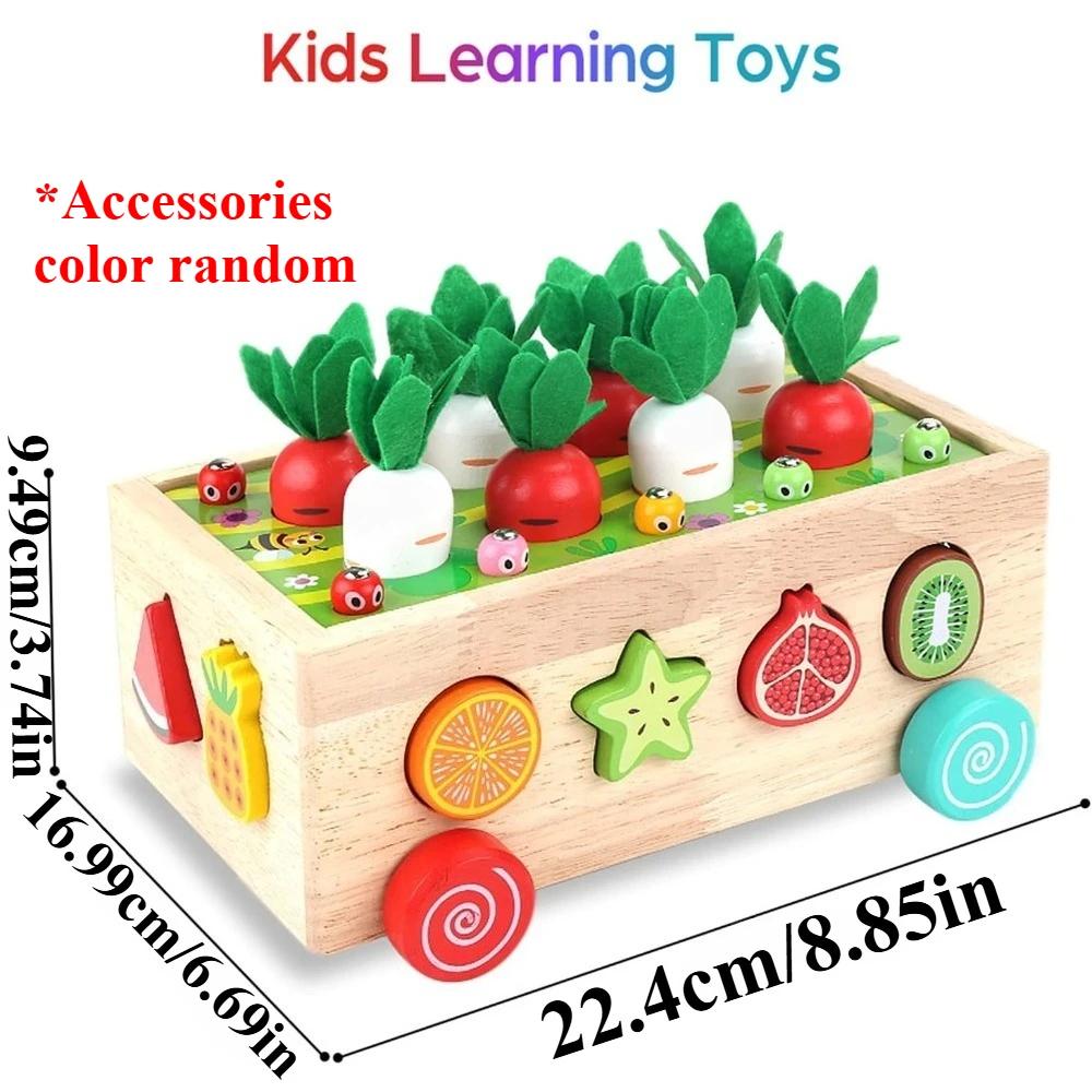Montessori Wooden Toys Developmental Shape Sorting & Matching Puzzle Carrots Harvest Game Birthday Gifts for Toddlers Babies Boy
