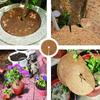 1Pc Natural Coconut Fiber Tree Mulch Mat Cover Protector 20/30/35/40Cm Flower Pot Disc Pad Weed Control Warm Moisture Cushion