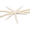 Stable Starfish Fixing Curtain Tie Starfish Curtain Buckle Starfish Curtain Tie Rope  Living Room