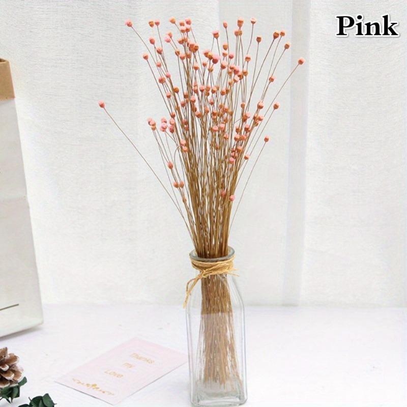 50 Stück/Strauß Brasilien Happy Flower Echte Blume Natur Echter Kleiner Trockenblumenstrauß