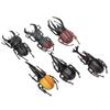 6pcs Simulation Beetle Insect Model Halloween Trick Props NonToxic PVC Insect Toy(Black )