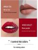 25-Color Matte Lipstick Palette: Waterproof & Moisturizing Lip Gloss Set