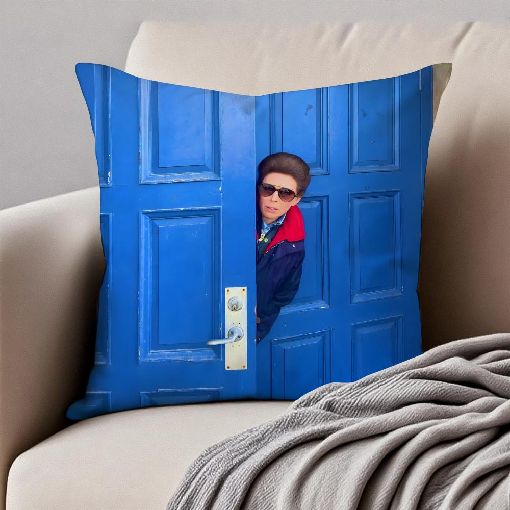

CClaudia Harrison Cushion Cover Pillowcase Antidustmite Invisible Zipper Short Plush Sofa Cushion 30X30cm
