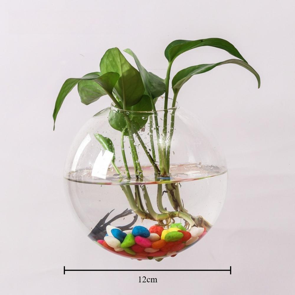 3 Stück Wandhängendes Glas-Terrarium Wandmontierte Runde Kristallvase Grüne Efeu Hydrokultur-Pflanzenbehälter für Haus Büro Dekoration