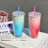 Gobelet d'eau en plastique d'été pour femme, gobelet à paille de grande valeur, portable pour le sport, grande capacité, gobelet à changement de couleur graduel