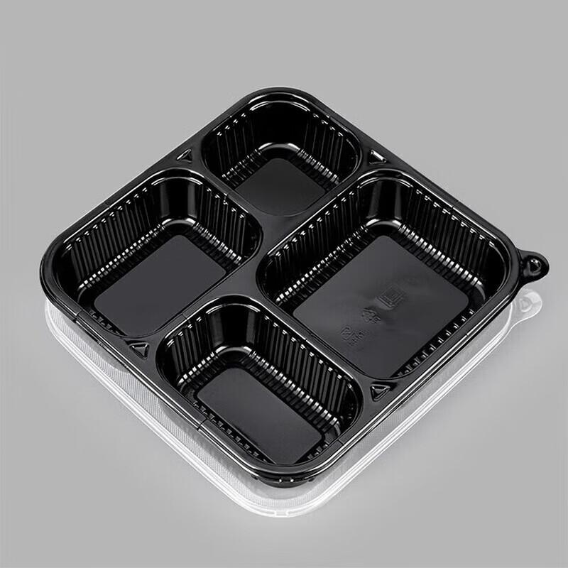 Disposable Partitioned Lunch Containers with Lids