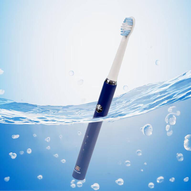 Paul Frank DZH-G14 Sonic Electric Toothbrush