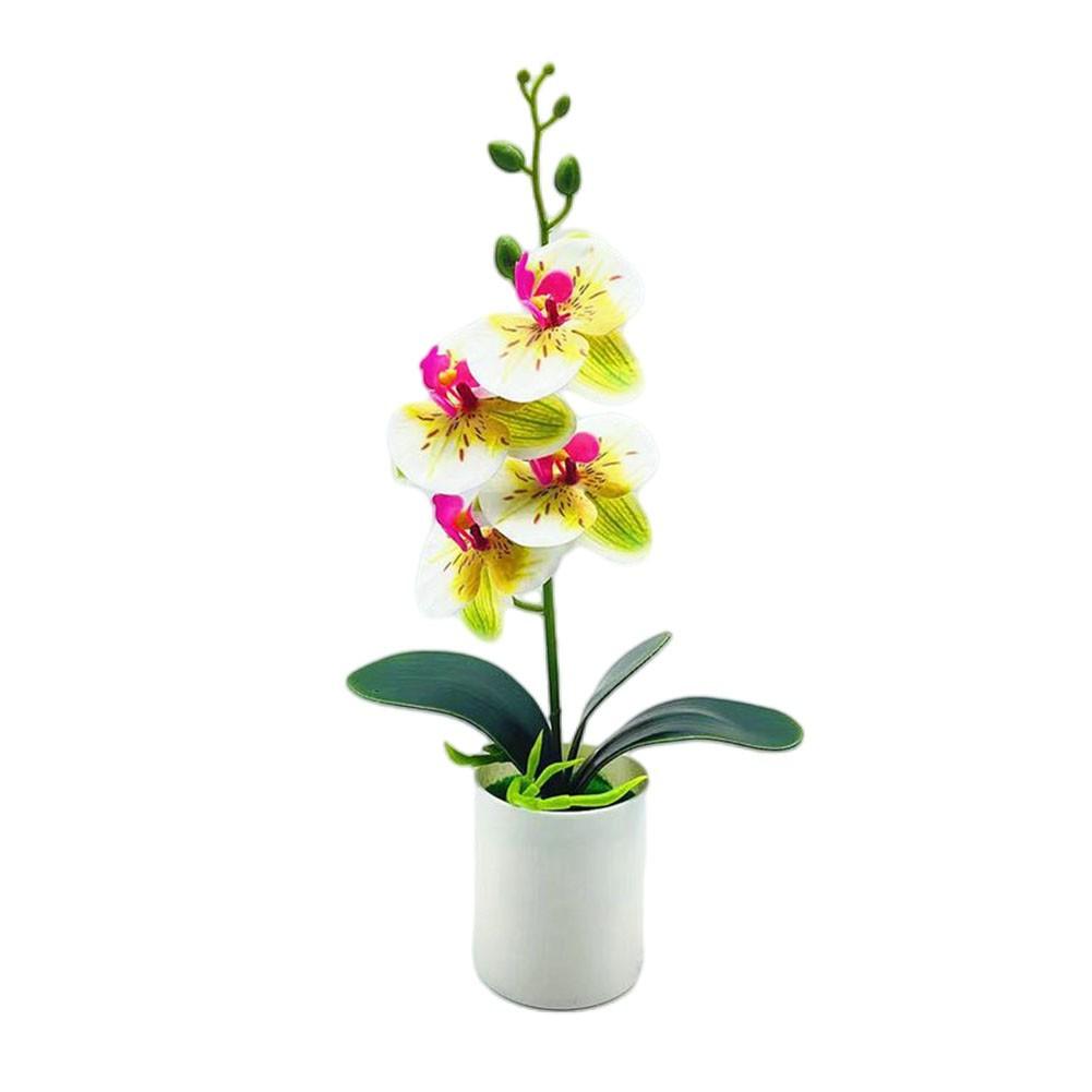 Umelá orchidea Phalaenopsis, umelá orchidea, rastlina orchidey, bonsaj, dekorácia