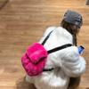 Solid Color Fake Fur Women's Backpack Fashi Large Capacity Plush Female Double Shoulder Bag Winter Girls Furry Tote Schoolbags