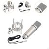 Condenser Microphone for Professional Music