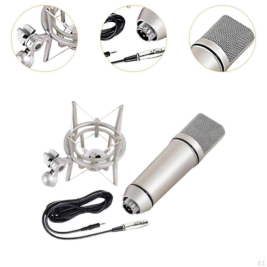 Condenser Microphone for Professional Music