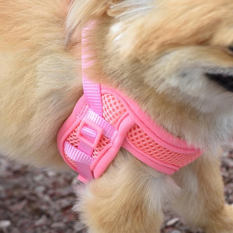 Dogs Chest and Back Traction Rope Breathable Dogs Cat Large Size Dogs Walking Dogs Rope Kitten Chest Strap Dogs Rope