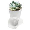 Self Watering Plant Pots Small White Planter with Reservoir Translucent Inner Pot Cotton Wick Planters for Violet Cuttings Seedlings Propagation