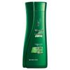 100 Years Runfa Tea Tree Oil Control & Strengthening Shampoo