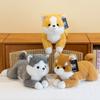 Cute Simulation Dog Plush Toy Cute Husky Rag Doll Baby Sleeping Doll Dog