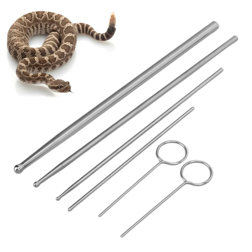 6PCS Schlange Sonde Kit Edelstahl Runde Kopf Anti Allergie Reptilien Schlange Geschlechtsbestimmung Sonde