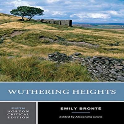 Wuthering Heights by Emily Bronte Paperback Book 9780393284997