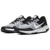 Nike Varsity Compete Tr 3 Cool Grey CJ0813-003
