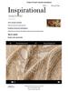 French Retro Chenille Sofa Cover: Non-Slip, All-Season, Cat Scratch Resistant, Full Cover Towel, 2026 Edition