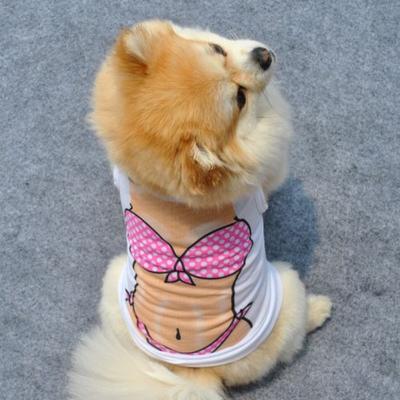 Abbigliamento e scarpe – Gilet e camicie per cani