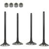 Intake Exhaust Valve Kit for Kawasaki KX250F 2009-2016