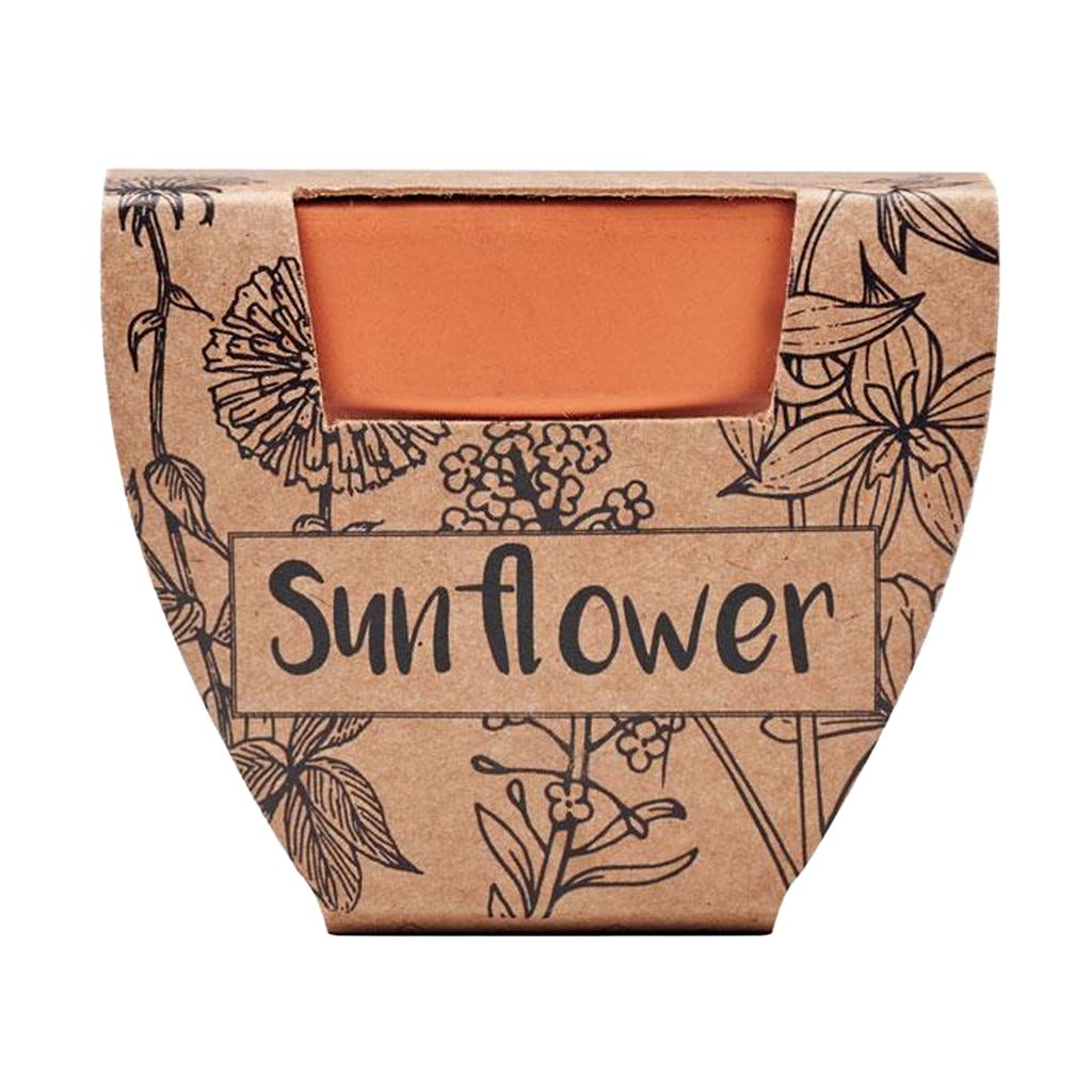 MidOcean Slunečnice Terakotový Květináč na Semena