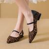 Leopard Women Mary Jane Shoes Pointed Toe Heeled Shoes Woman Sandals 2025 Summer Sexy Dress Chunky Shoes Shallow Pumps De Mujer