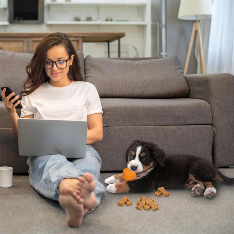 Dog Food Ball Non-toxic Materials Clean And Sanitary Silicone Best Selling Innovative Design Highest Evaluation Feeding Ball