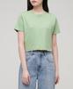 MUSINSA STANDARD WOMAN Women'S Crew Neck Crop T-Shirt [Light Green]