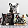 1pc Cute Pet Mini French Bulldog Pillow Case Square Bedroom Sofa Leisure Comfort Cushion Car Living Room Home Decoration