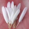 50Pcs Decorative Painting Feather Color Small Straight Knife Kindergarten Handmade Diy Decorative Wings Artwork Creative Art Materials